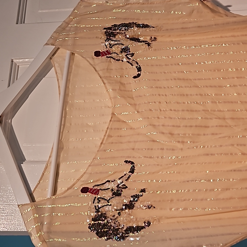 Sheer iridescent overlay dress